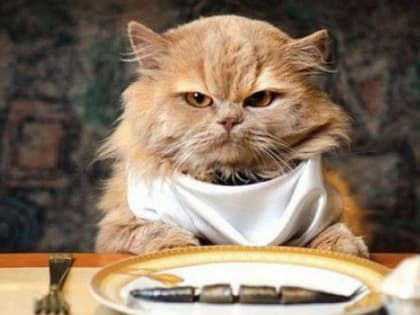 Врач рассказал, какую еду надо избегать, чтобы продлить молодость