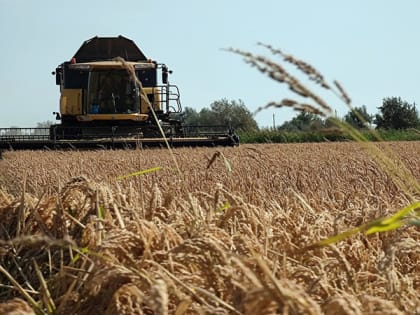 В 2023 году на развитие сельского хозяйства Крыма выделено 3,3 млрд рублей