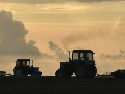 В Крыму увеличивают площади посевов зерновых и овощей