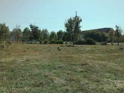 Земли для участников СВО в Крыму подбирают с учетом возможности подведения коммуникаций