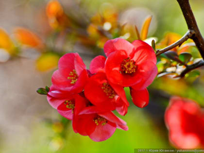 Прогноз погоды на 17 мая: в Севастополе за +20°С и восточный ветер