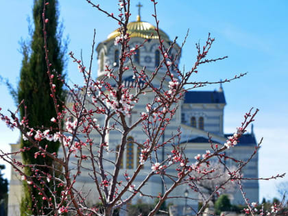 Прогноз погоды на 9 апреля: в Вербное воскресенье в Севастополе и Крыму тепло и без осадков