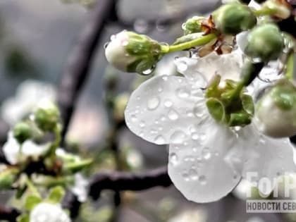 Май в Севастополе начался с проливных дождей