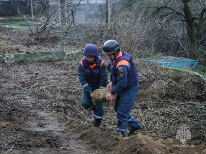 В садоводческом товариществе Севастополя нашли 50-килограммовую бомбу [фото, видео]