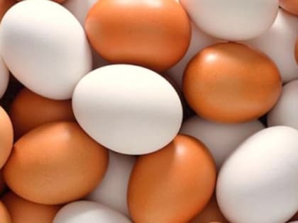 Российские производители рассказали о мерах сдерживания роста цен на яйца