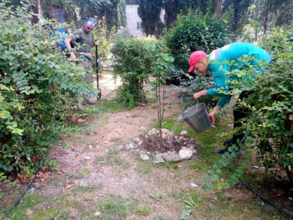 Рядом с Севастополем обнаружен рай для растений