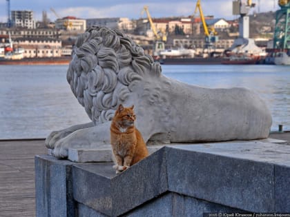 Погода на 4 октября: в Крыму и Севастополе осадков не прогнозируется
