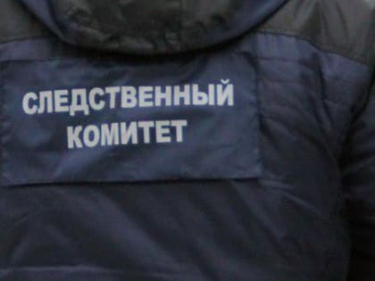 В Севастополе СК и прокуратура проверяют информацию о школьном инциденте