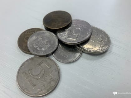 Проглотившую монету девочку экстренно доставили санавиацией  в город