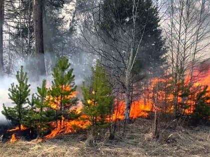 В Севастополе будет установлен 5-й класс пожарной опасности