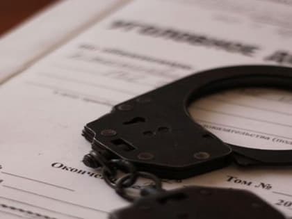 В отношении бывшего и.о. директора «Севастопольского лесхоза» возбуждено уголовное дело