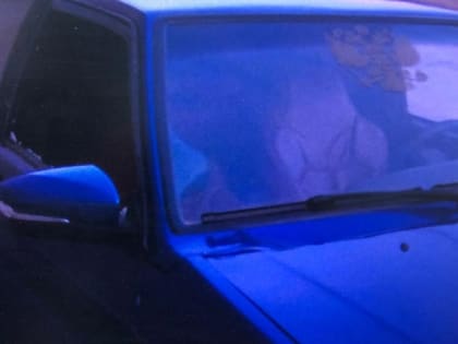 Пошёл в гости, а вернулся с «подарком»: в Севастополе кубанец попался на автокраже