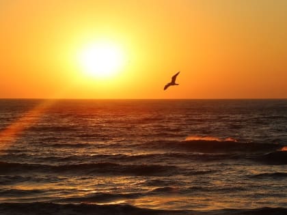 Погода на 15 июля: в Крыму и Севастополе переменная облачность и без осадков