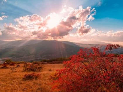 В Крым к выходным вернется тепло - прогноз погоды