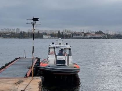 В Севастополе нашли двух мертвых дельфинов