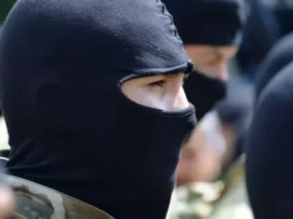 Британцы готовят две тысячи украинских боевиков для вторжения в Крым – СМИ