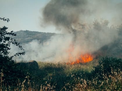 В Севастополе ликвидирован крупный природный пожар