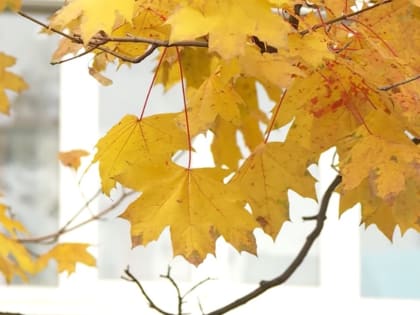 Прогноз на 11 октября: в Крыму и Севастополе переменная облачность, без осадков