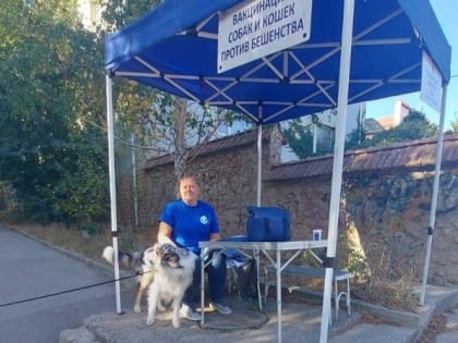 На следующей неделе севастопольские ветеринары продолжат обследования и вакцинацию животных