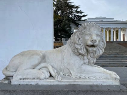 Политический блеф: почему в Киеве все чаще говорят о мирных переговорах?