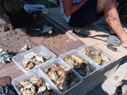 Тренер РК «Чайка» рассказал о прошедших сборах женского состава клуба