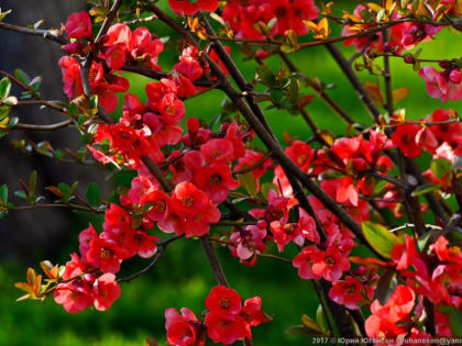 Прогноз погоды на 11 мая: в Севастополе и Крыму днем около +15°С, осадки не ожидаются