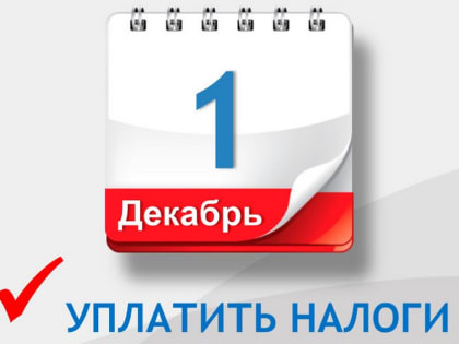 До окончания уплаты имущественных налогов у севастопольцев остался месяц