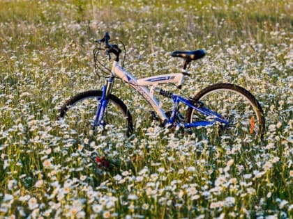 Прогноз погоды на 11 сентября: в Севастополе и Крыму — до +25°С и без осадков