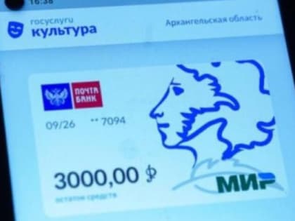 В России может появиться спортивный аналог Пушкинской карты