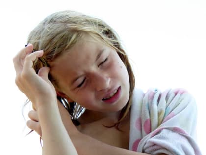 В Севастополе активизировались головные паразиты