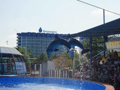 Дельфинарий «Победа» провел бесплатные представления для детей