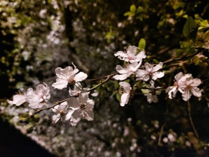 В Севастополь врываются жаркие выходные