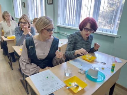 Транслирование успешных практик преподавания окружающего мира в начальных классах