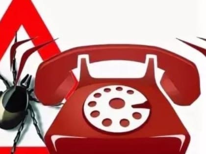 В Крыму и Севастополе открыта «горячая линия» в связи с началом сезона клещей
