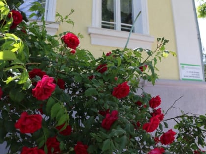 COVID-19 в Севастополе: за сутки выявлены пять новых случаев заболевания