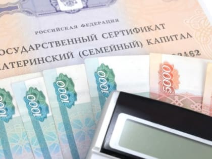 В Госдуме предлагают разрешить направлять маткапитал на лечение детей