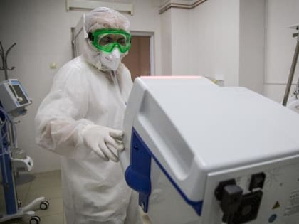 COVID-19 в Севастополе: за сутки медики выявили более 50 новых случаев