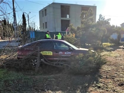 В Севастополе паркующийся таксист снёс два дерева