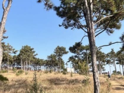 Глэмпинг-парк на Северной стороне: продолжение дерибана бюджетных средств Севастополя?