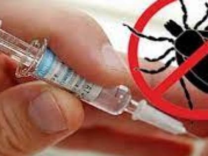 Более трех миллионов россиян привились от клещевого энцефалита