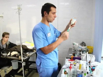 В Севастополе стартовала первая в новом году вакцинация птиц, собак и кошек