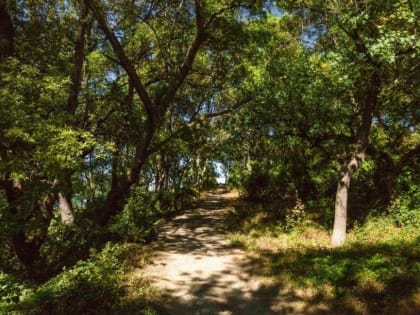 17 сентября: и вновь есть повод…