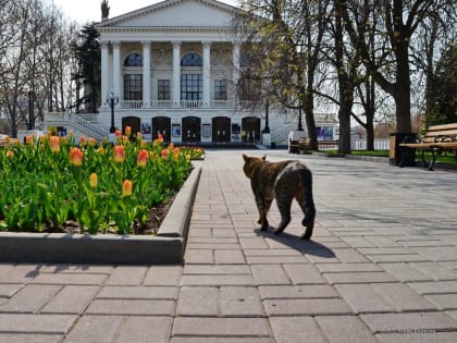 Прогноз погоды на 3 мая: в Севастополе и Крыму около +15°С и без осадков