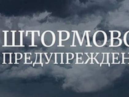 Метель, гололед, ветер до 30 м/с: в Крыму на три дня объявлено штормовое предупреждение