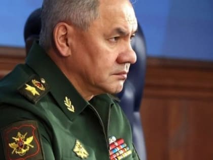Шойгу заявил о попытках наступления ВСУ на разных участках фронта