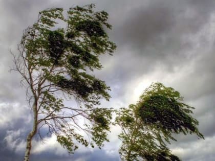 В Крыму 4-5 июня ожидается усиление ветра до 70 км/ч