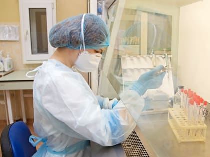 COVID-19 в Севастополе: за сутки медики выявили 32 новых случая