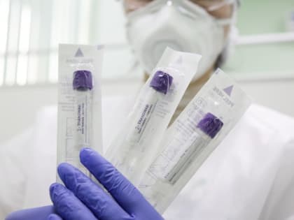 COVID-19 в Севастополе: за сутки медики выявили семь новых случаев