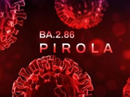 Эксперт связал рост заболеваемости ковидом в РФ с передачей вируса в школах