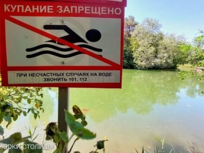 Купание в пруду парка Гагарина Симферополя запрещено — МБУК “Парки столицы”
